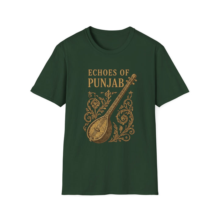 Echoes of Punjab