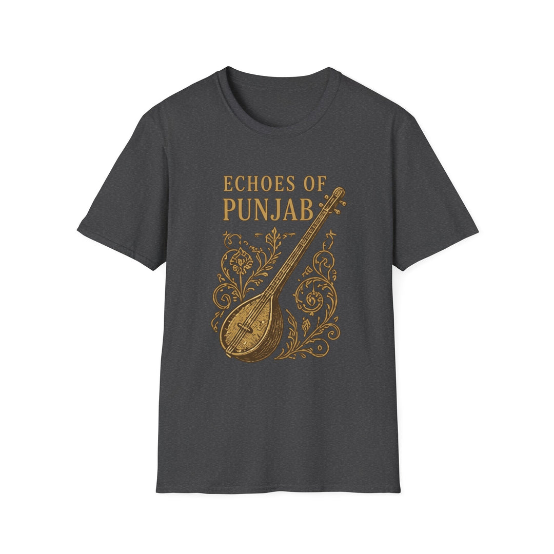 Echoes of Punjab