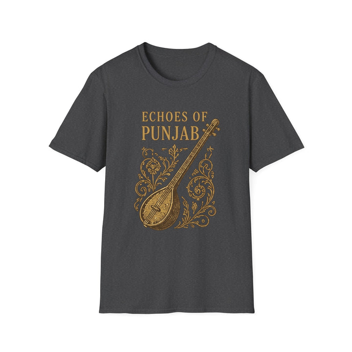 Echoes of Punjab