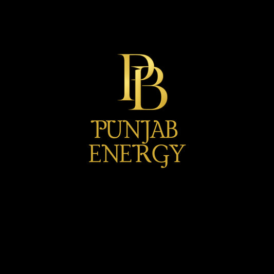 PUNJAB BOLDA premium pique polo shirt featuring a classic fit, ribbed collar, and tone-on-tone 3-button placket.